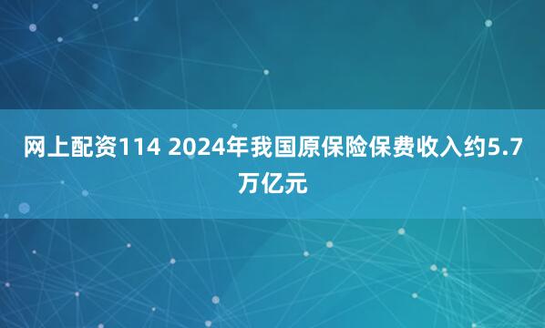 网上配资114 2024年我国原保险保费收入约5.7万亿元