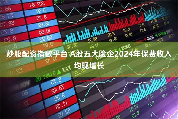 炒股配资指数平台 A股五大险企2024年保费收入均现增长